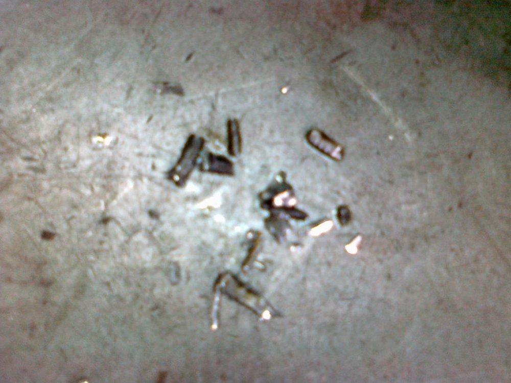 290720111058.thumb.jpg.34eb2c0a5d2b11042c117c162e625cb8.jpg