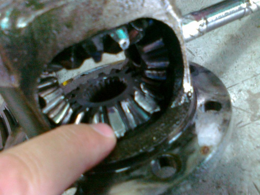 290720111068.thumb.jpg.33b27f27e9054eb091cd43cb86da8863.jpg