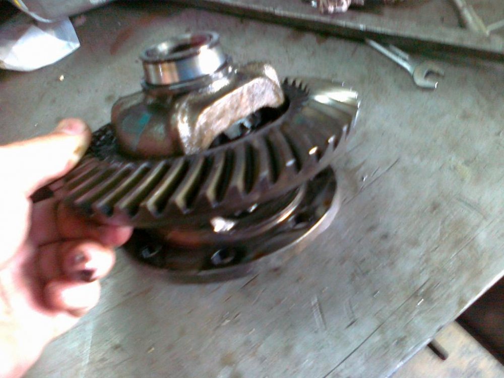 290720111069.thumb.jpg.6732bd8438e26bf82e0d70863ffe1866.jpg
