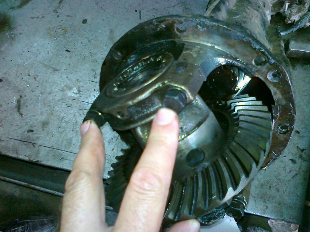 290720111076.thumb.jpg.6fd3211a66a8e0e84e6cbd75e75a7756.jpg
