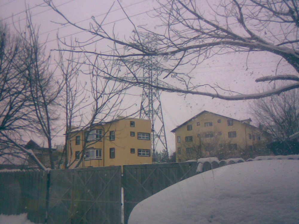 30012014.thumb.jpg.d90025ac25b322aedf16c2f10f220666.jpg