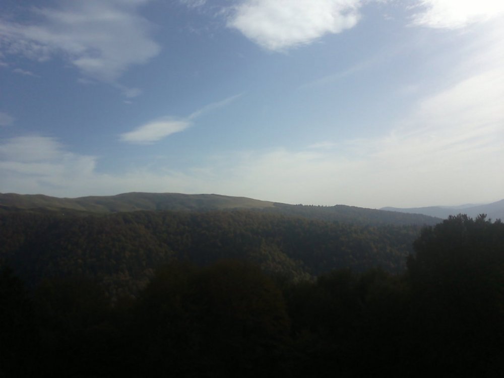30092012504.thumb.jpg.c43b968d87e21004f056b22b066e038b.jpg