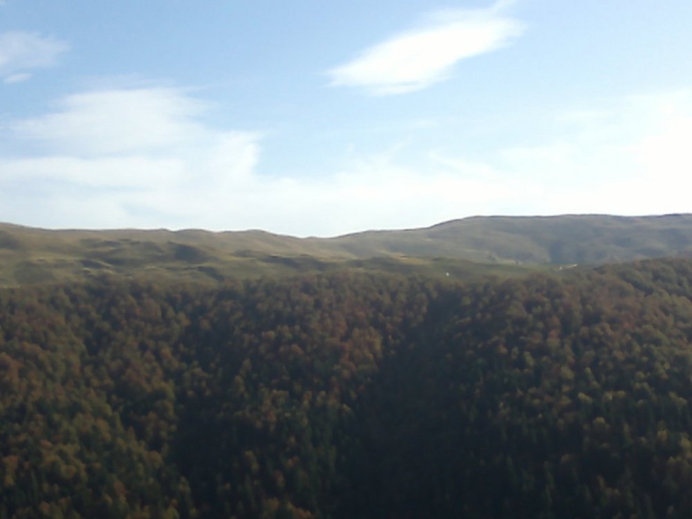 30092012505.thumb.jpg.7affa98daec720a2f3e7eb6b968d06fe.jpg