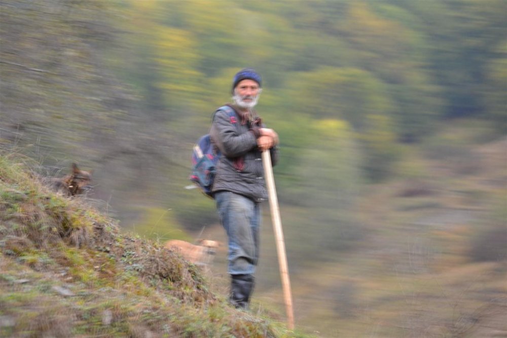 348540808_DSC_9532(Large).thumb.jpg.94ebb62c7e7d140b684230ff226e3fb7.jpg