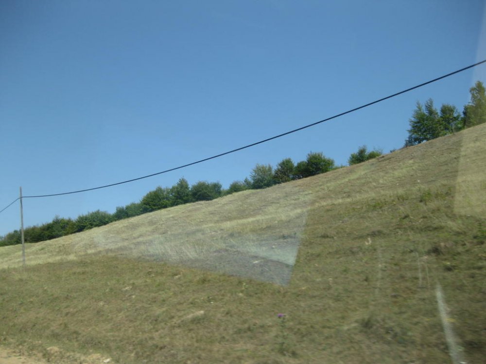 353648236_Picture137.thumb.jpg.c8bb7f4045bfc8a8113fd3a3cf8eecf4.jpg