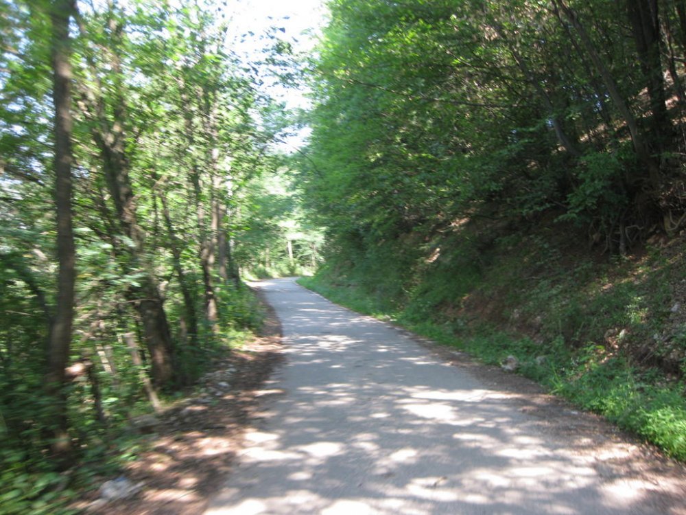 357167896_Daci163.thumb.jpg.d6f820adb46e20cf79bb83a6fa5e71c4.jpg