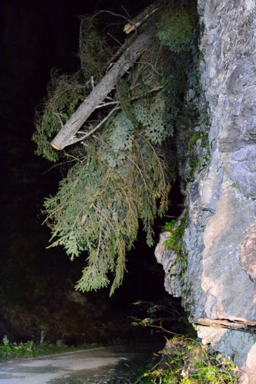 362334658_DSC_7727(853x1280).thumb.jpg.9448cd701fa1e16ce5f547daa0ea0ae2.jpg