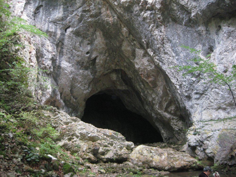 4.thumb.JPG.0bb4d2593f9921b1c64746b4e3c27df5.JPG