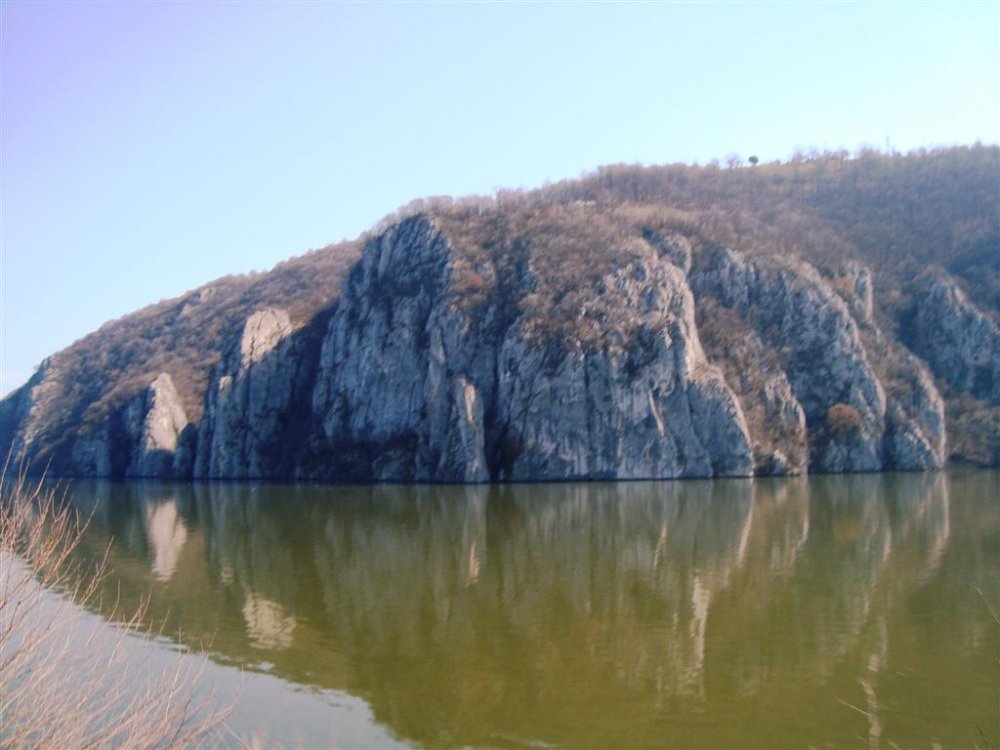 408304483_DSC04793(Large).thumb.JPG.9a5025d8bc0ab58c9612b723469ff3e2.JPG