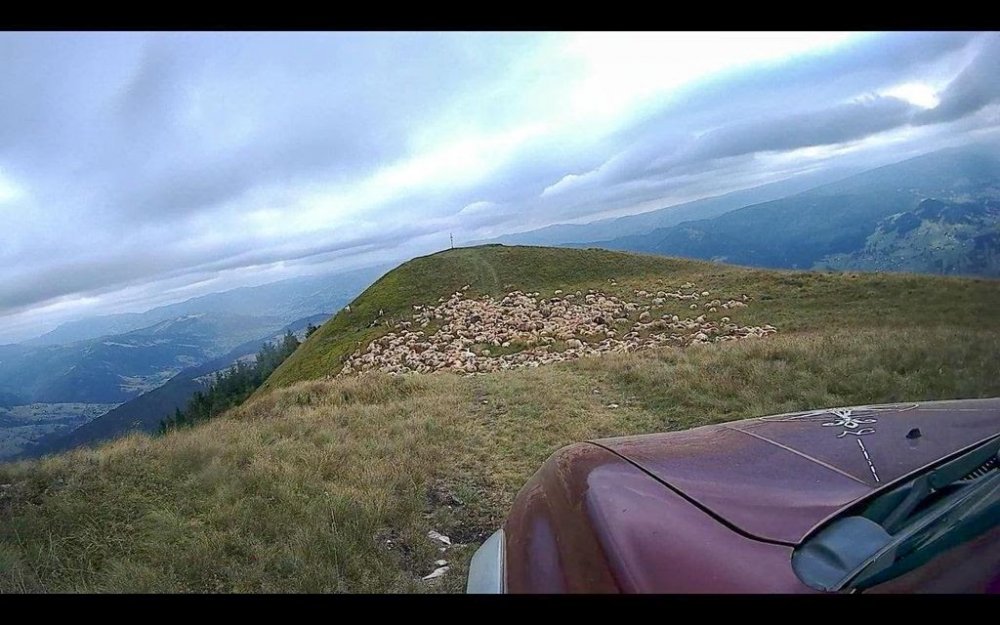 430422580_Z02-02-Offroadpeousorsimaideparte-19_result.thumb.jpg.a83ffc6d52dc04313ffdbb4b5adffde1.jpg