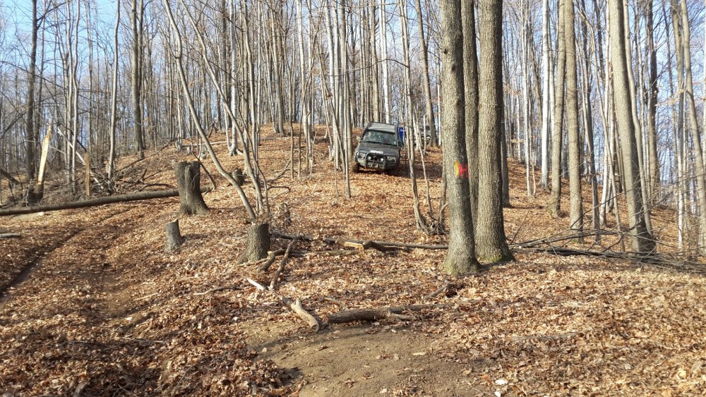 447198459_OFFROADiesire28dec2013(2)_1600_900.thumb.jpg.cab7085b4ff8df8ed7a804d1fb333912.jpg