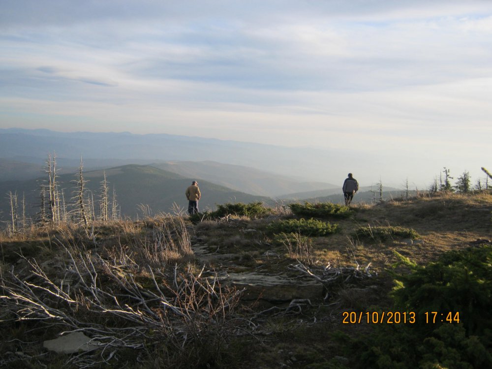 474357116_Picture025.thumb.jpg.ed38837eb4865daf10ac0933b976eabc.jpg