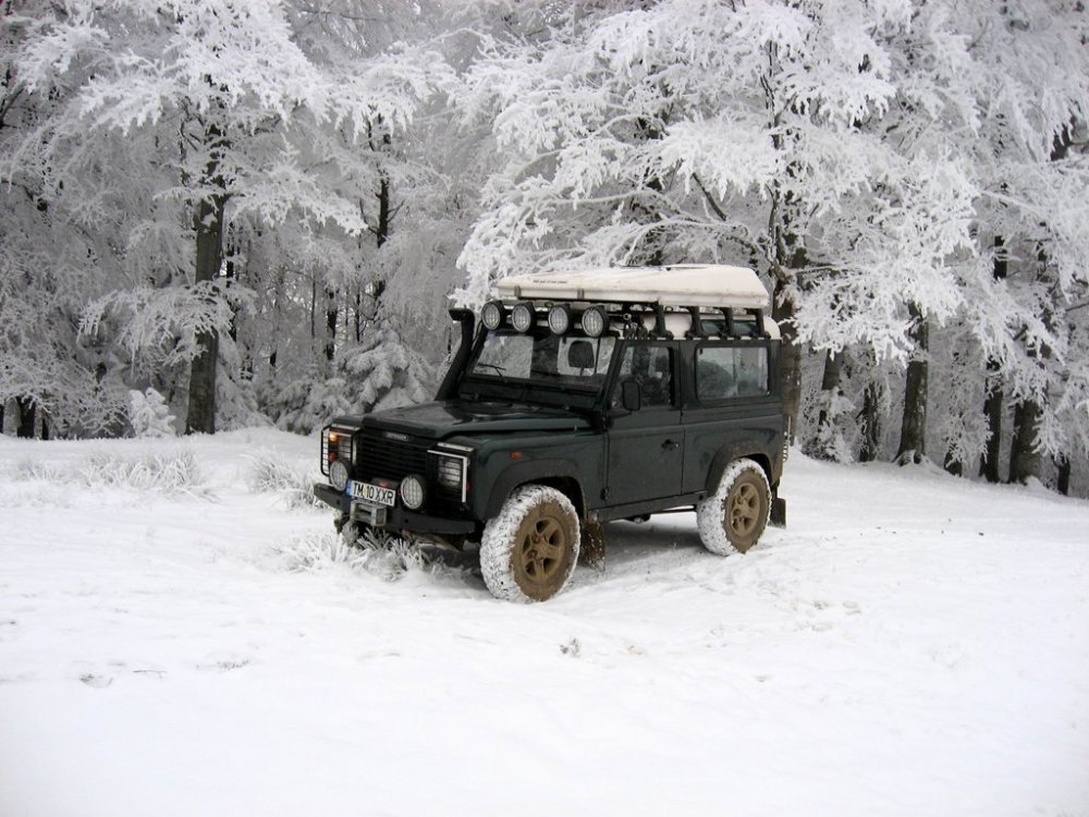 483802190_SpreCuntu-Tarcu14decembrie2009003.thumb.jpg.a3653808ff0adb3c5f933682fca4bc52.jpg