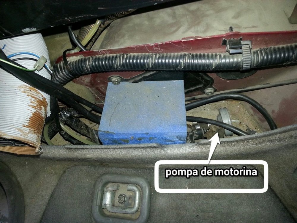 5.thumb.jpg.6ce960b3431d80d95dd4e8c85840f1fc.jpg