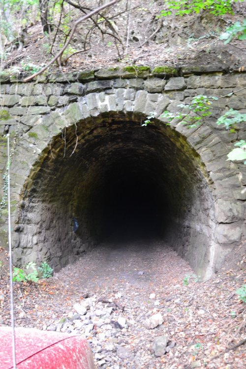 528199434_DSC_8521(853x1280).thumb.jpg.56049bc8b6858b4589c44c8f2ed61cf8.jpg