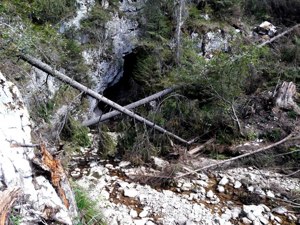 541407604_20180919_132916r.thumb.jpg.1b594ea7ddf6456f3a1b9130249352bc.jpg