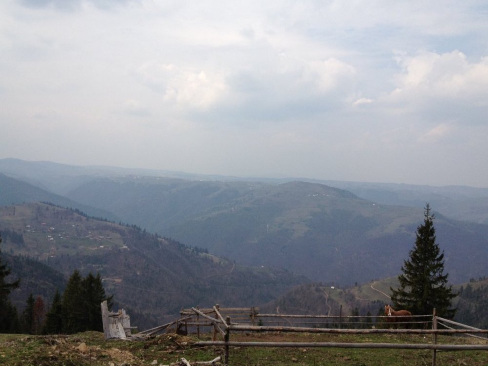 551332989_poza20.thumb.jpg.3c77f52fc5cfaaa91c13b40ed36d870e.jpg