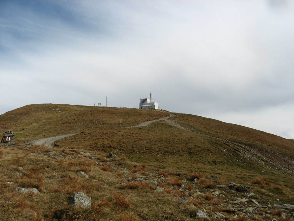 559057188_Cuntu-Tarcu010ctombrie2016005.thumb.jpg.8f1bb678f252b3b6cba9cf1a4db1c965.jpg