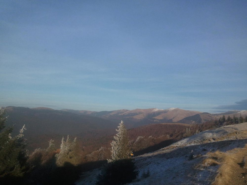 569132247_2011-11-2715_17_54.thumb.jpg.4441f9748c89b74dfd30fbe71cb2ae4e.jpg