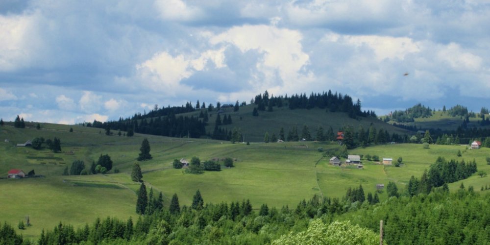574464160_IMG_1043(1024x512).thumb.jpg.87b496c9709035612db897fff9dfda37.jpg