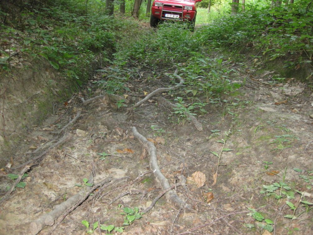 574507512_Picture206.thumb.jpg.89af3b7e51d177fd7964f302f3cfbcea.jpg