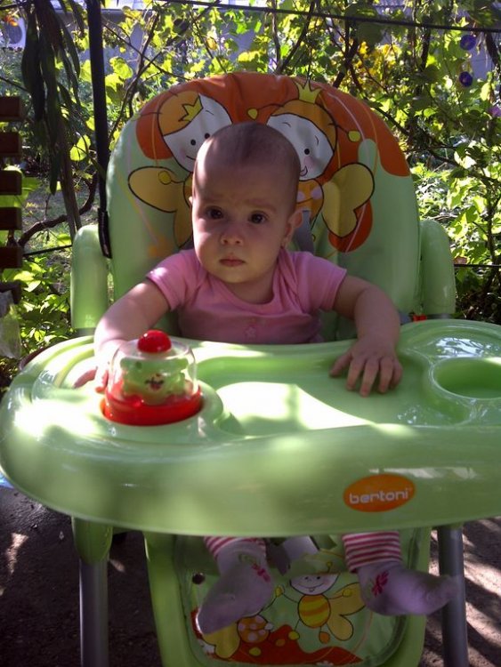 622216144_Mara1024x768.thumb.jpg.7e8a4417ac9850ac84f244f80835fcf0.jpg