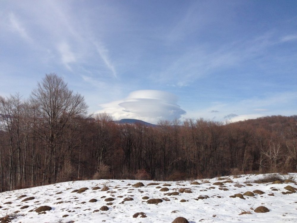 623220629_RSD-30mar2013(9).thumb.jpg.beb940fa79b4949e80fa91e24924eb35.jpg