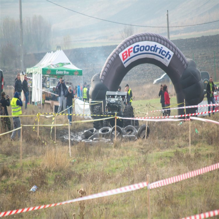 635802796_CupaPodulInalt2013171.thumb.jpg.b9eb06d03b15b40af5d02c739f4ef717.jpg