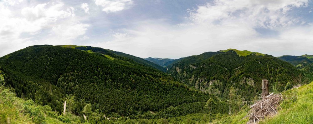 640B3888-Pano.thumb.jpg.14e79270bca9f1f28f1bae10bff29cf0.jpg