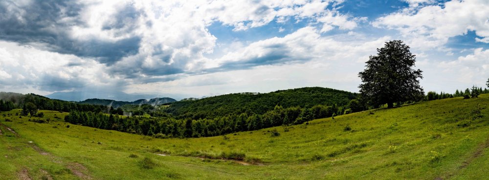 640B4084-Pano.thumb.jpg.01b3a9f9253b45520ef1701c6bd233be.jpg