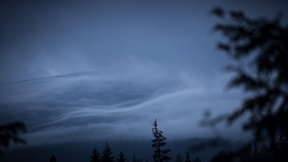 640B4475.thumb.jpg.e5447496cf43a0d9ca9d6edc0f7b3a32.jpg