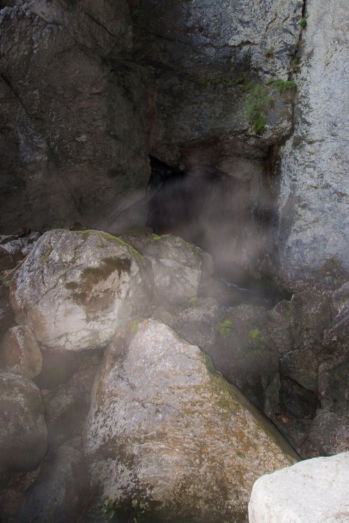 640B4651-2.thumb.jpg.51a27c9e96c489cb0c365e0c7ef7e7a3.jpg