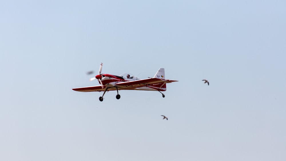 640B4888.thumb.jpg.c797ce907cb743a06aea99ecf7898a1c.jpg