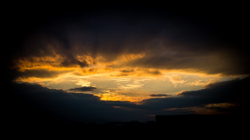 640B7674.thumb.jpg.186936e0f692284c2bb620292f222ebe.jpg