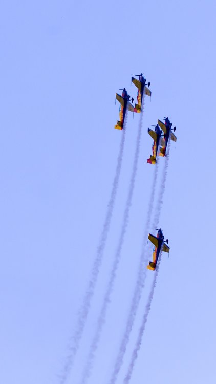 640B7734.thumb.jpg.755f25c9ce625c0c45be6a770f8e388e.jpg