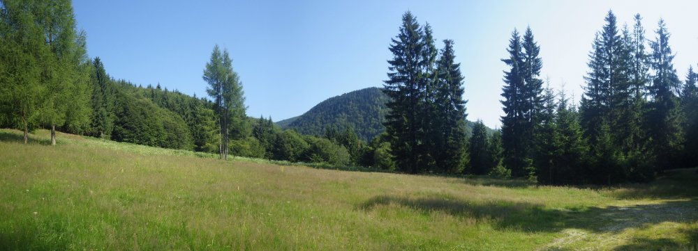 644556133_Panorama2_resize.thumb.JPG.8e19522ca26d82f570aa1e9615716819.JPG