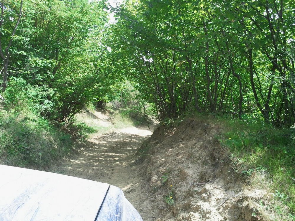 660724531_2012-08-1913_41_25.thumb.jpg.d0245d87b5cbbab9ed0c3728560751f2.jpg