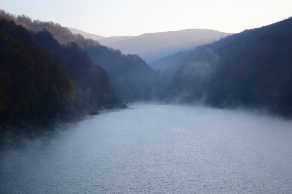 670465550_DSC_9507(1280x853).thumb.jpg.c9b276854a205d7dbe16c747b62e209b.jpg