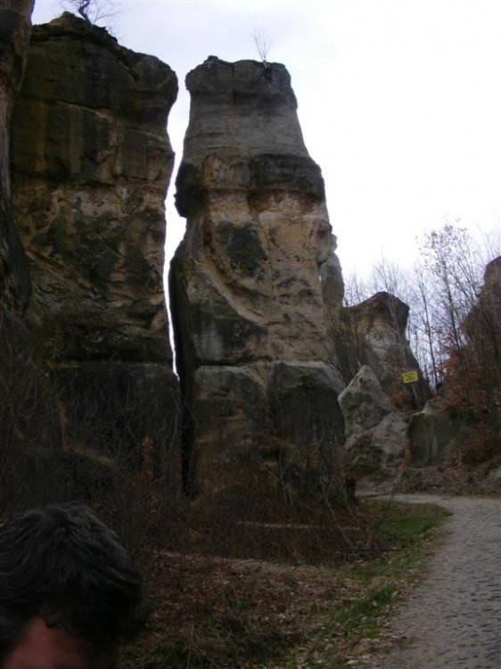 726805745_DSCF2445(Medium).thumb.JPG.ea4d0d6f95e73aa9fba0c22dc9207492.JPG