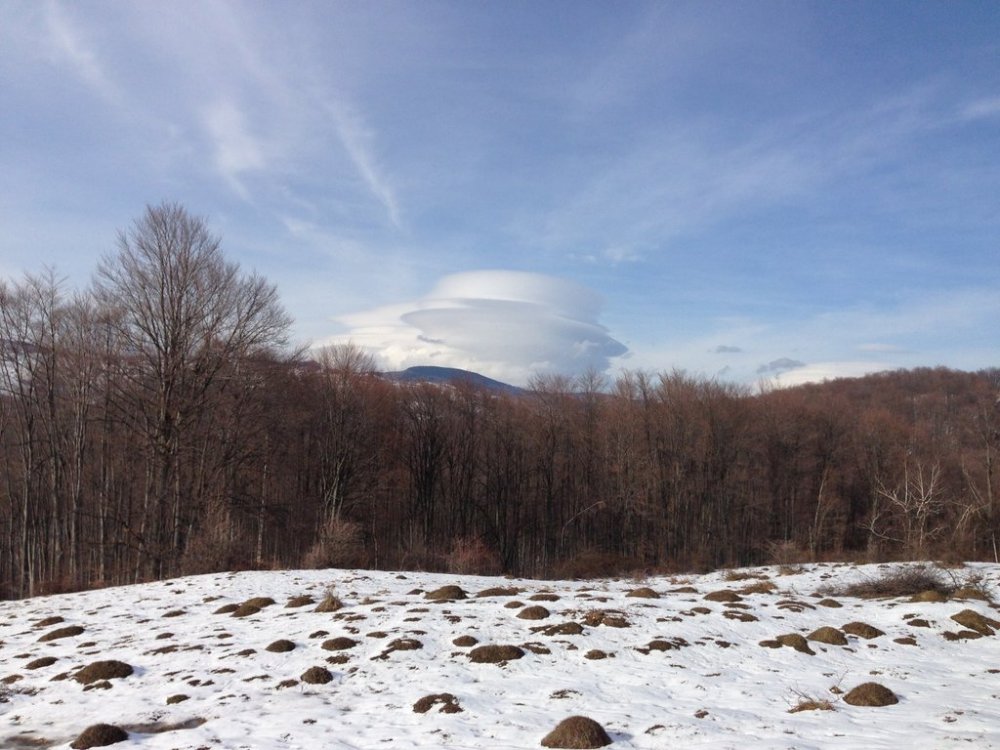 740464381_RSD-30mar2013(10).thumb.jpg.6faab0f8f2f677468d2450cf2a67ec44.jpg