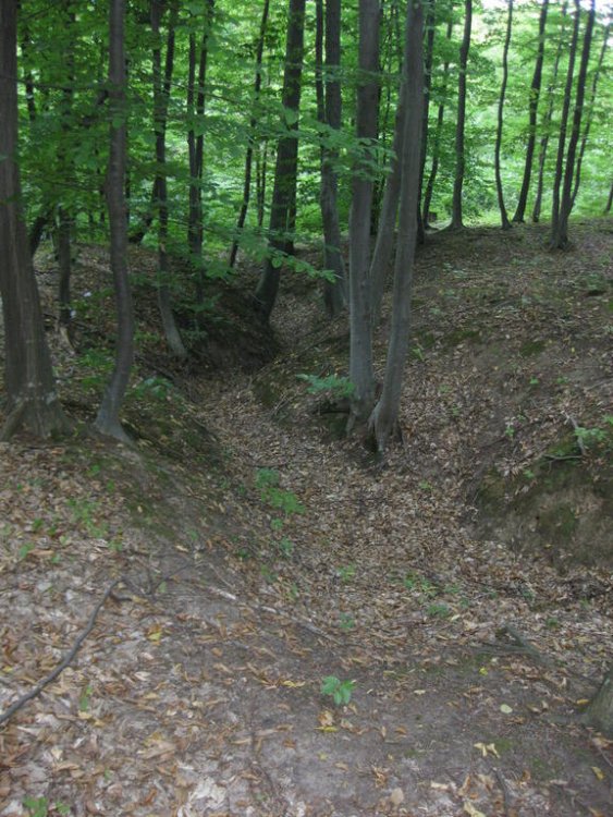 744434229_Picture200.thumb.jpg.ce8a195b5d5b0d482c8272ca50c13b9a.jpg