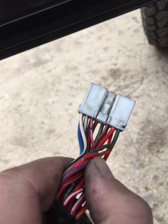 771160060_IMG_4286(Medium).thumb.JPG.b892b02744b5c44e5ef32ba9c1f13f45.JPG