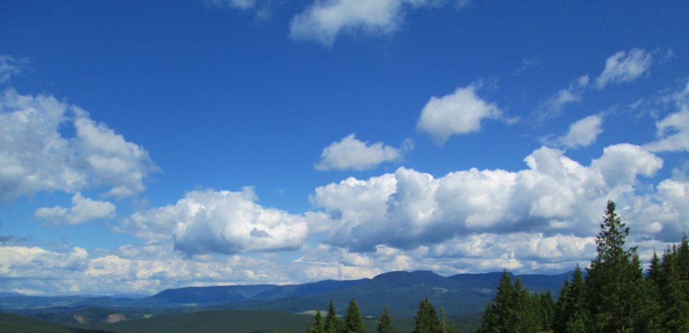779946020_IMG_1013(1024x495).thumb.jpg.f835a2b798e3a77ad41b5b1707260eb0.jpg