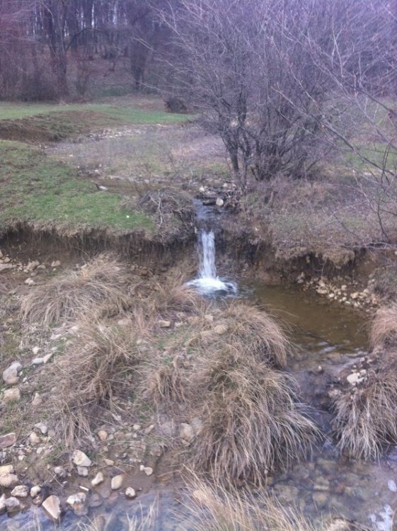 7914110_IMG_1808-Copy(2)_800x598.thumb.JPG.2da9804ab973352174dff4dfdb2ad096.JPG