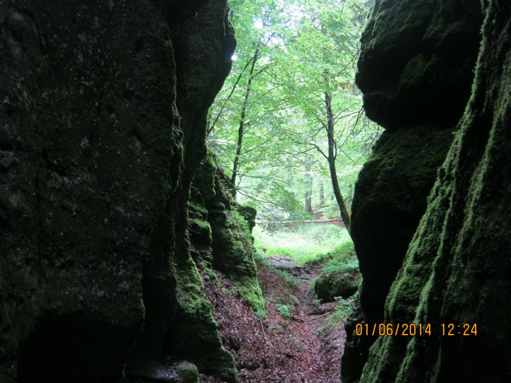 798688072_Picture131.thumb.jpg.1afb518bd6d7ac6e61bb90cda6b57a1b.jpg