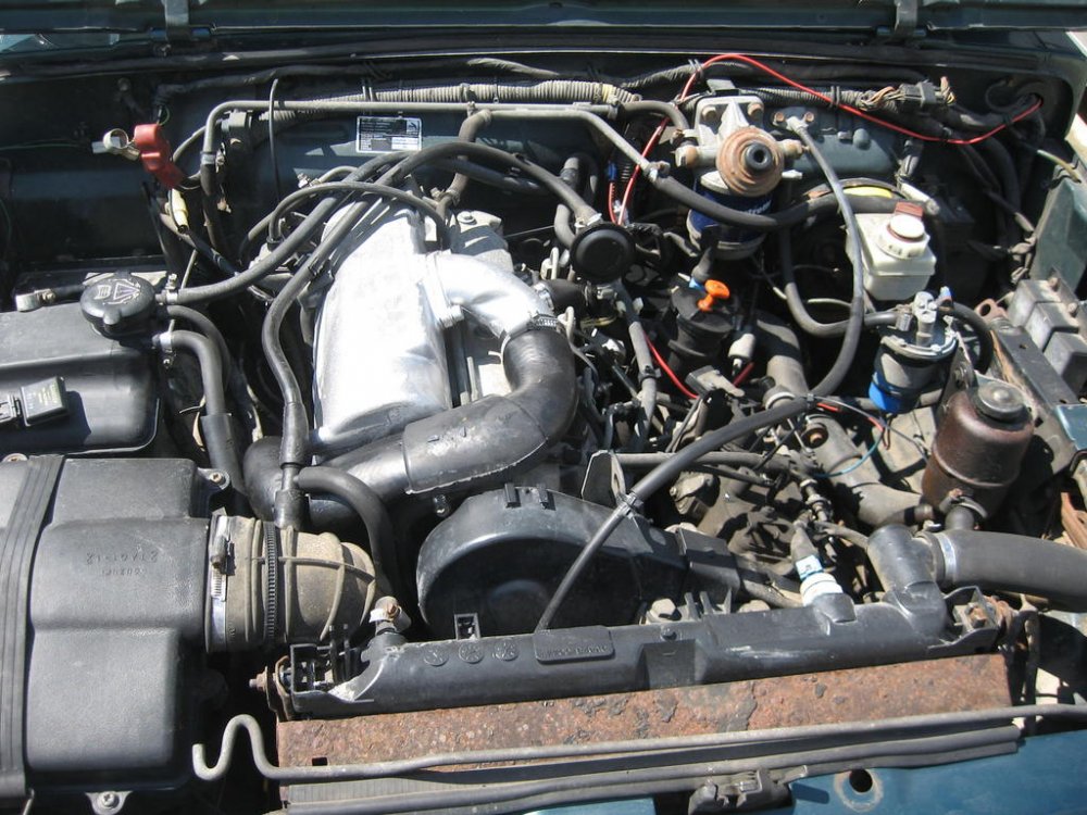 822710998_26_06.2011244.thumb.jpg.99827e7e5cdfbd815304ccbd30ce00da.jpg