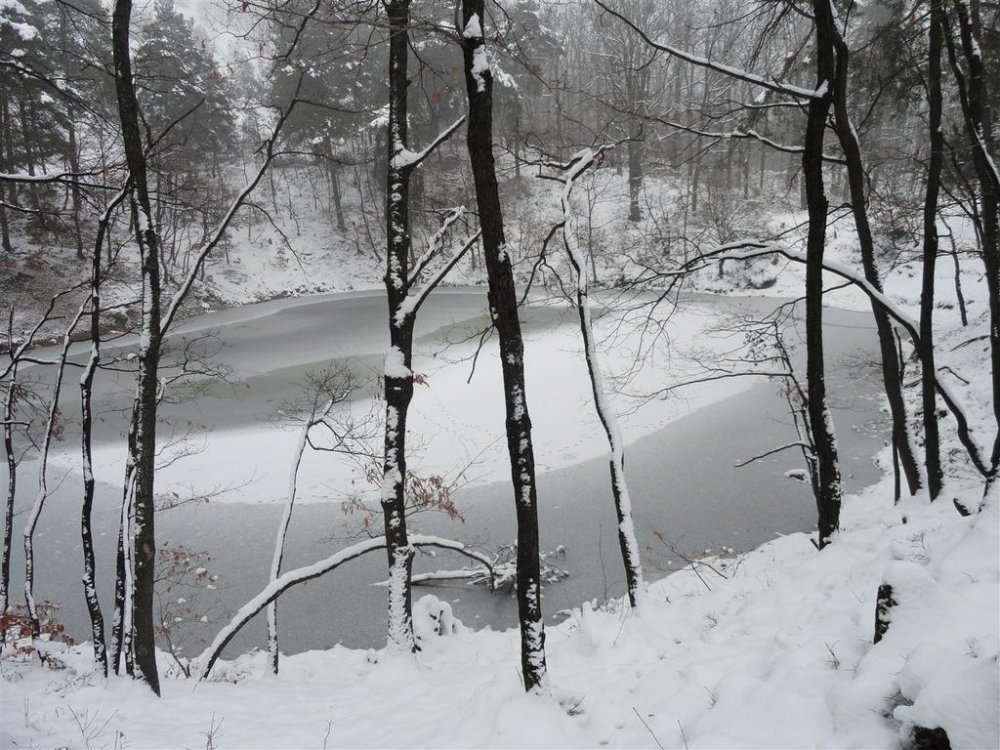 823462183_DSC00484(Large).thumb.jpg.3af29367523cbe57a69d6d0656f87254.jpg
