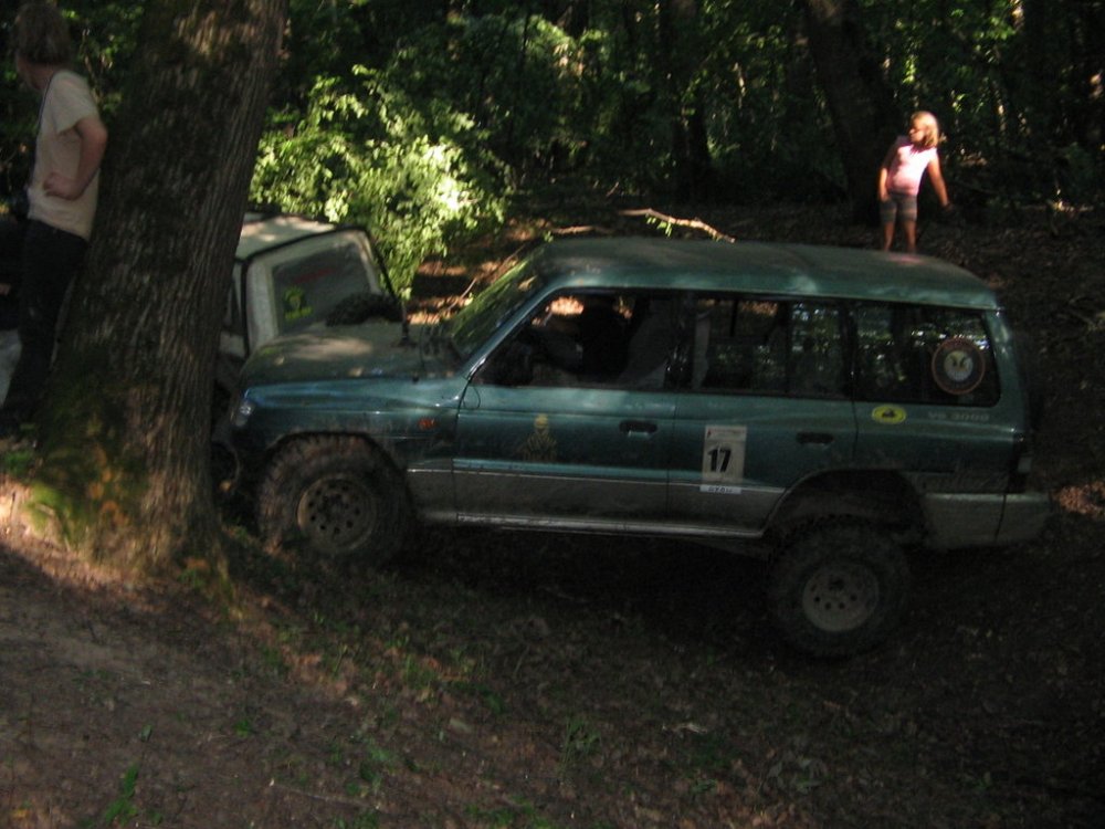 831731342_Agnita2010185.thumb.jpg.47865b99d91e36c25a6d78d65580d18d.jpg