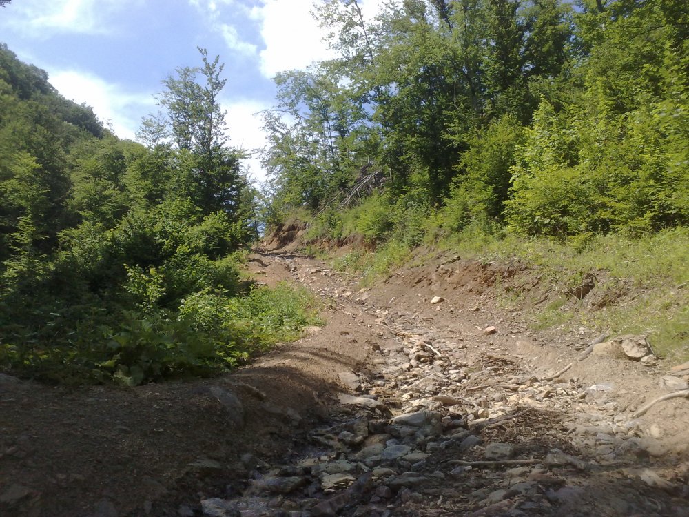 858599081_Traseuoffroad013.thumb.jpg.442567aa6adbf81d00f06f7e928d790e.jpg
