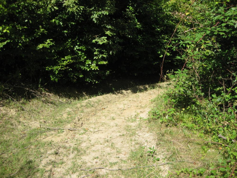 884360201_Picture118.thumb.jpg.b62c29026188e51c28b71a225f812d3b.jpg